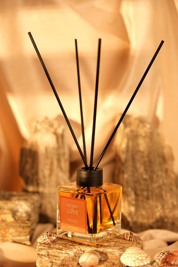 MANGO ÇUBUKLU ODA KOKUSU 100ML - 1