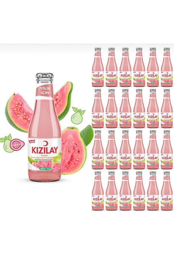 Guava Aromalı Maden Suyu 200 ml X 24 Adet - 1