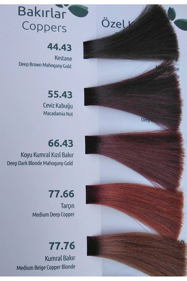 Bio Magic Amonyaksız Saç Boyası 77.76 Kumral Bakır X 2 Adet & 20 Vol. Oksidan 2 Adt - 5