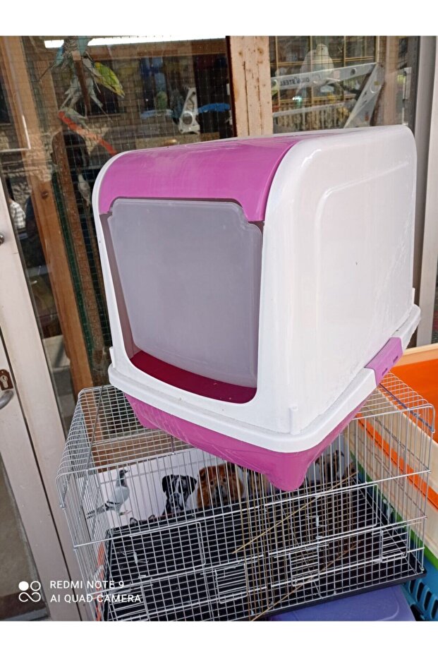 Kedi Kapalı Tuvalet - 1