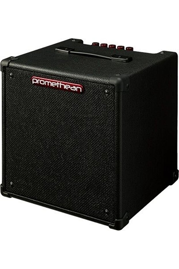 P20-u 20w Kombo Bas Gitar Amfisi - 4