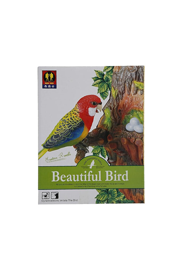 مجموعة طيور جميلة - 1