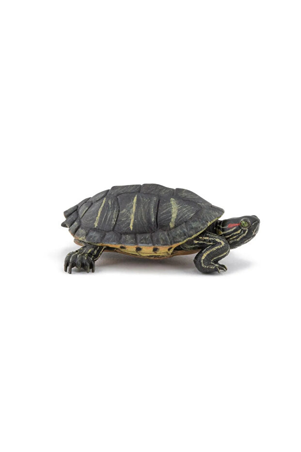 FLORIDA TURTLE FIGURINE - 1