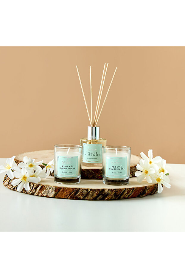 Elements 3-Piece Peony and Blush Suede Reed Diffuser and Jar Candle Gift Set