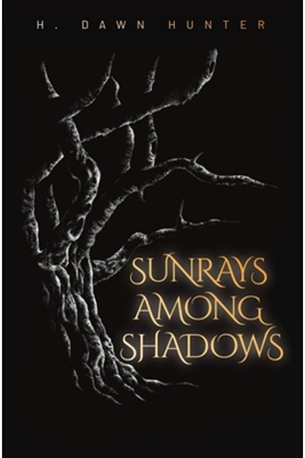 Sunrays Among Shadows - 1