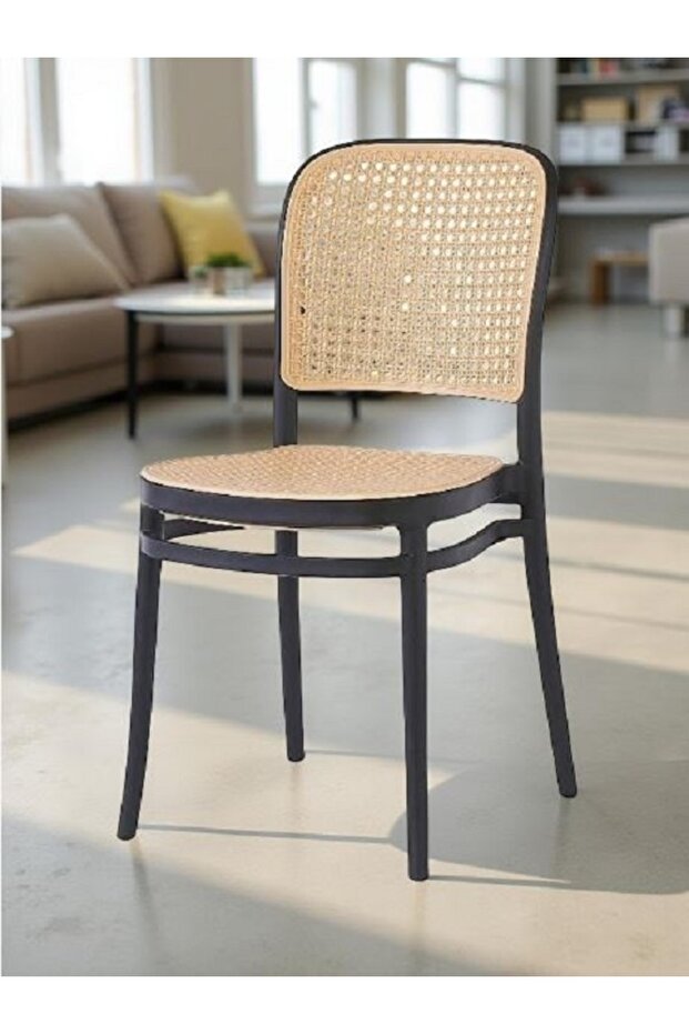 Dining table chair - 1