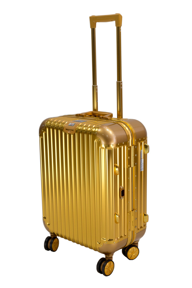 Makeup Train Stand Case With Pro Studio Artist Trolley - Gold - 1