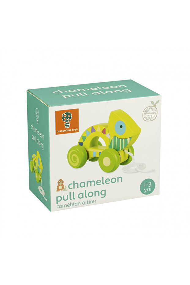 Chameleon Pull Toy, Orange Tree Toys