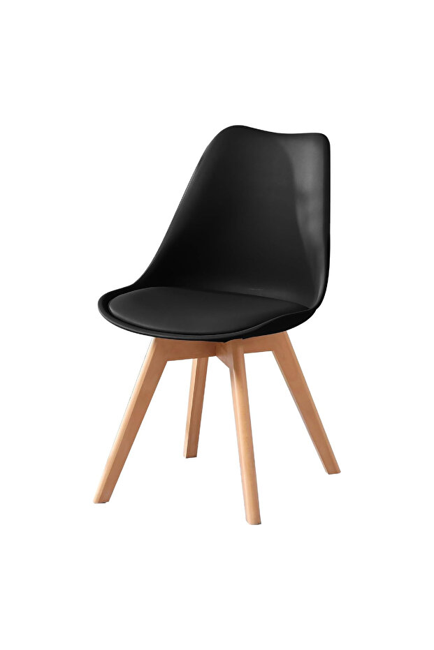 Decorative Dining Chair - 2
