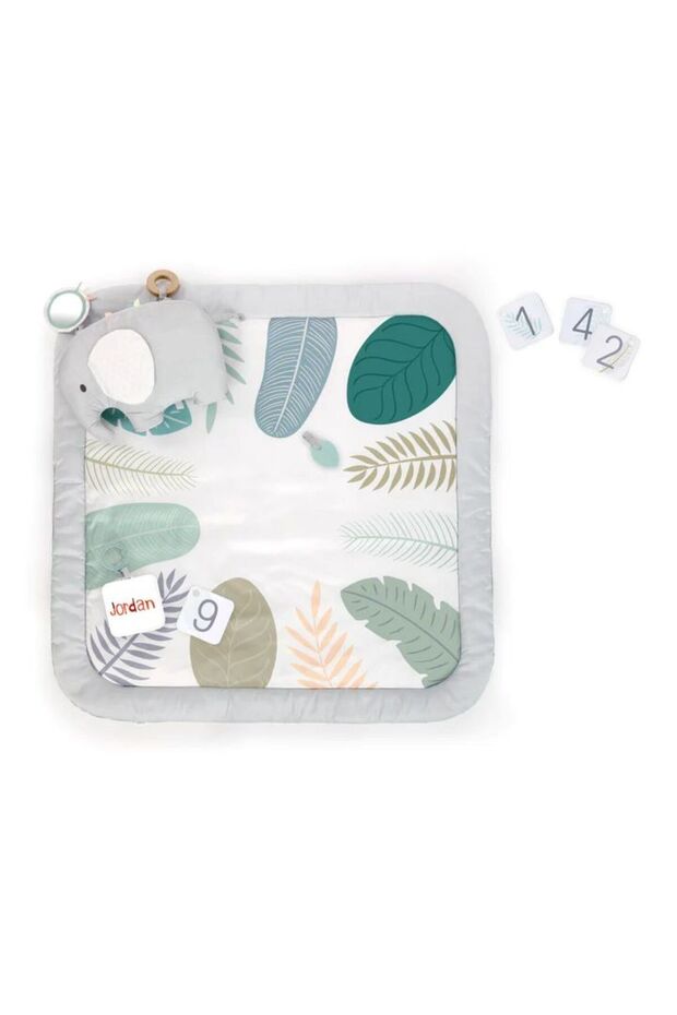 Sprout Spot Baby Milestone Play Mat, 0-36 Months
