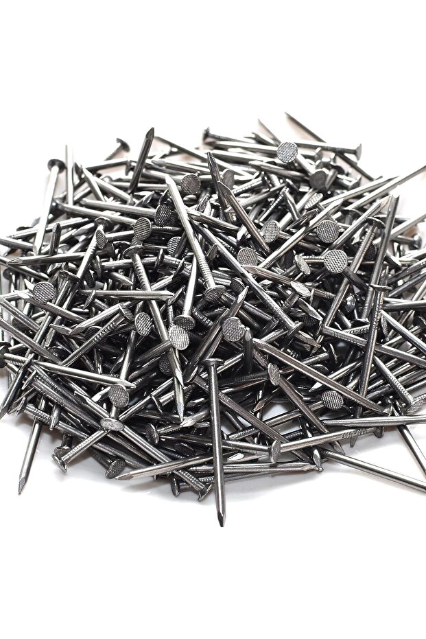 Wire Nail Heavy Duty Wire Nails Packet Galvanized Steel Nails for Wood Multipurpose Fasteners for Ca