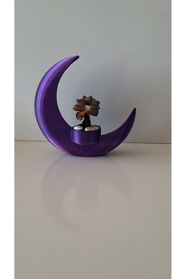 Hilal şeklinde sukulent vazosu - 4