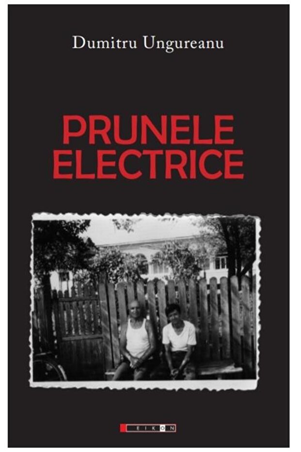 Prunele electrice, Dumitru Ungureanu - 1