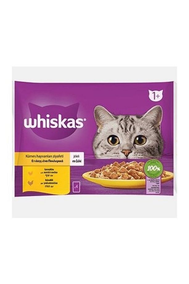 Tavuklu ve Hindili Yetişkin Kedi Yaş Maması 4X85 gr (13 Paket,52 Adet Tekli) - 2