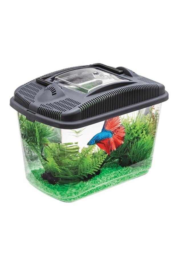Betta Kit 3 Litre - 1