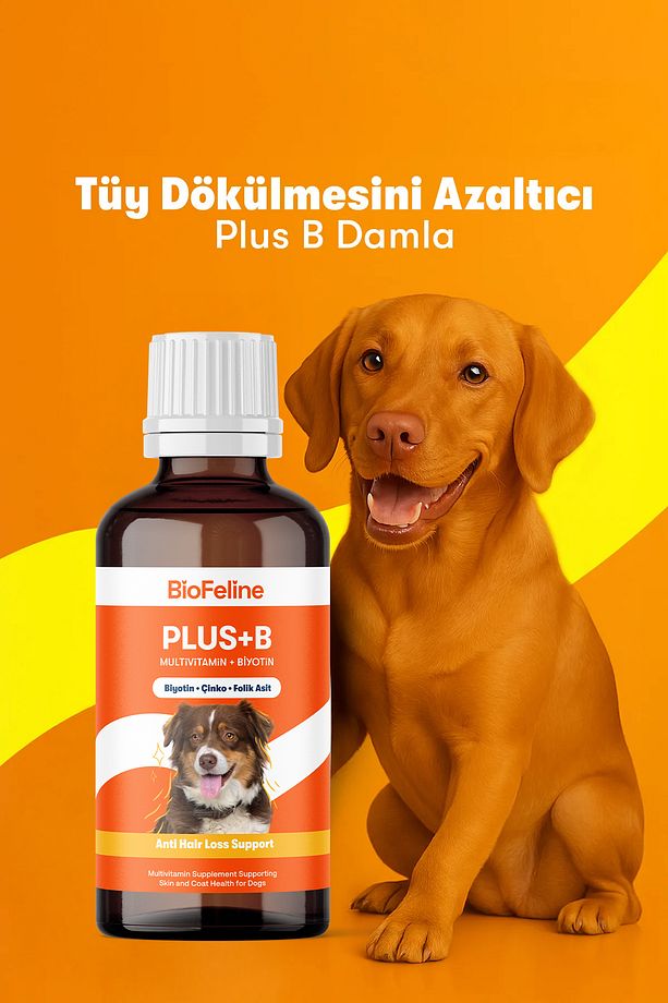 Köpekler İçin Biotin ve Çinko İçeren Tüy Dökülmesini Azaltıcı Plus+B Damla – 50ml - 1
