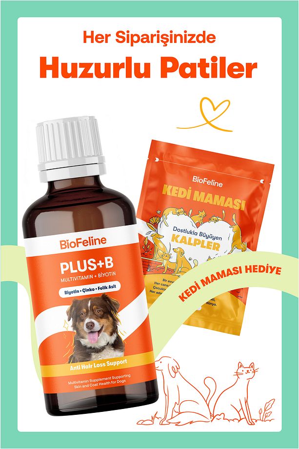 Köpekler İçin Biotin ve Çinko İçeren Tüy Dökülmesini Azaltıcı Plus+B Damla – 50ml - 8