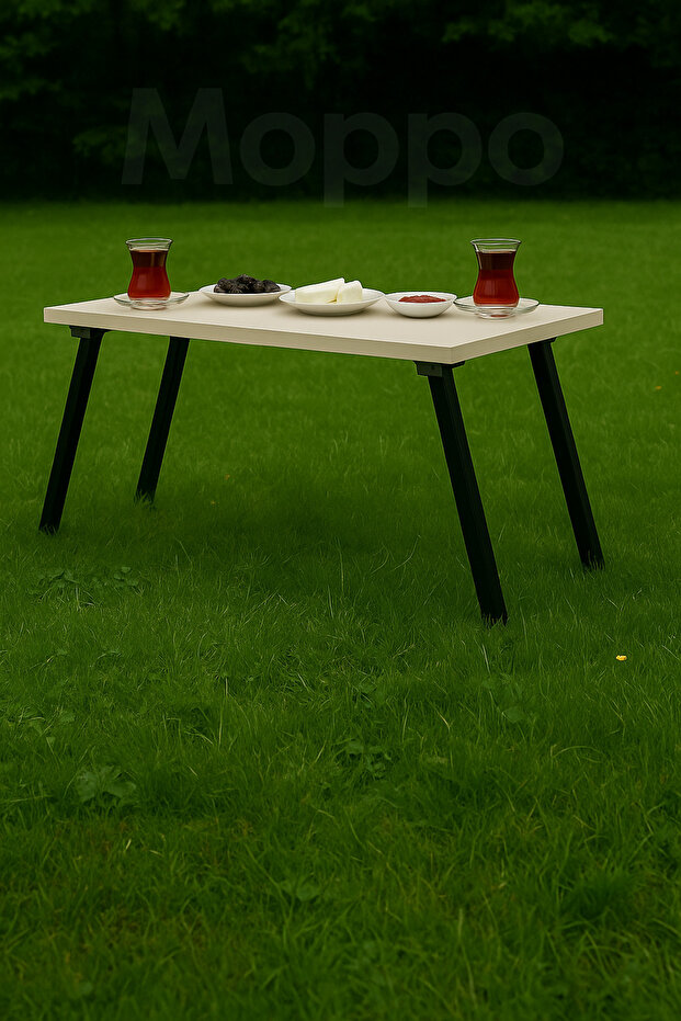 Katlanabilir Yer Sofrası, Kamp Masası Ayağı 40 Cm (4 ADET, VİDALAR DAHİLDİR) - 3