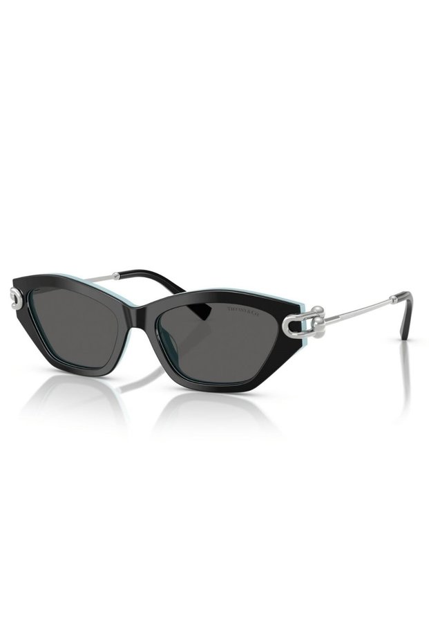 Co. Women's Sunglasses 4231-U 8055/S4 53-17, Cat Eye Black Acetate Frame