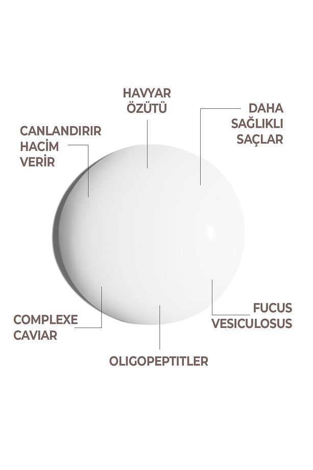 Havyar Yoğun Canlandırıcı Şampuan 1000 Ml - 4