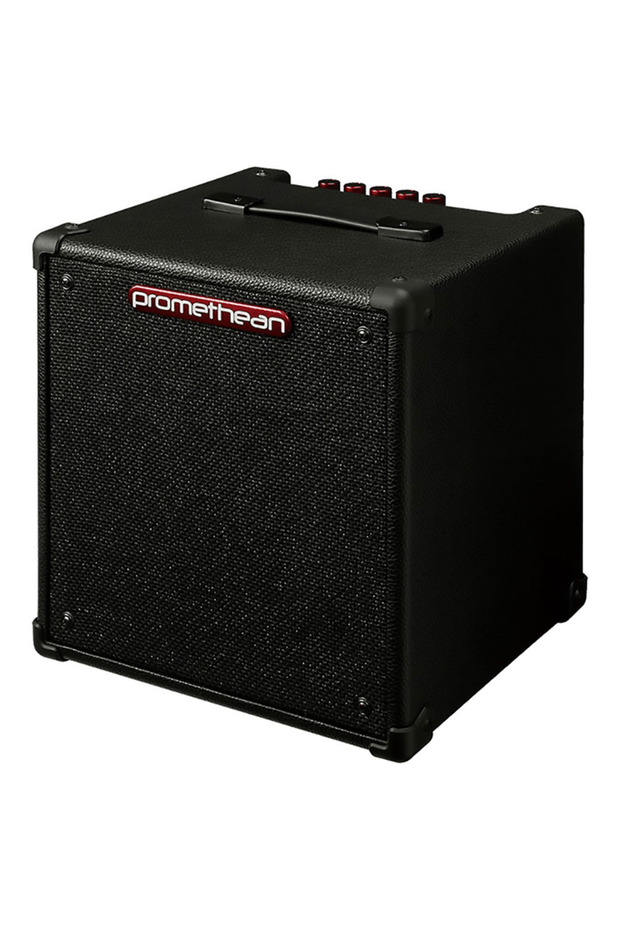 P20-u 20w Kombo Bas Gitar Amfisi - 8