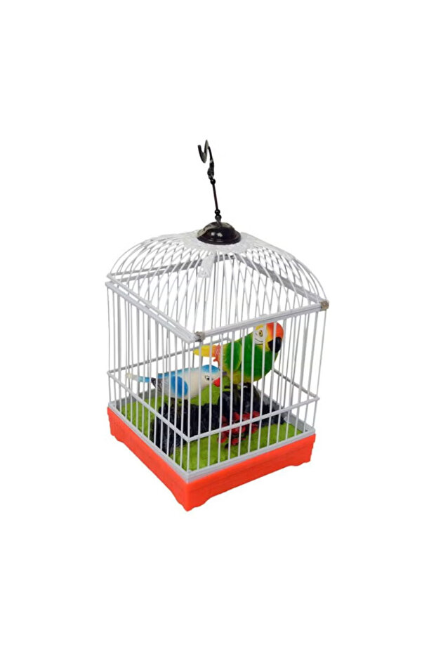 عصفوران سعيدان مع القفص - 1