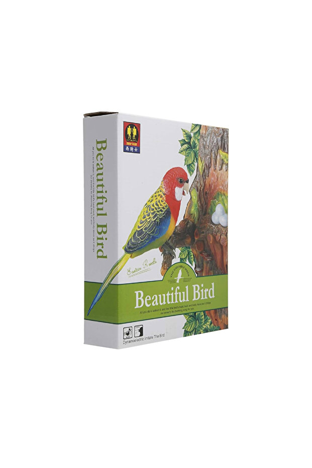 مجموعة طيور جميلة - 2