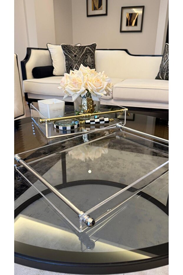 Tea/Coffee/Engagement/Wedding Tray for 4-6 People, Plexiglass Tube Handle, Silver
