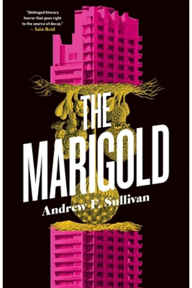 The Marigold - 1