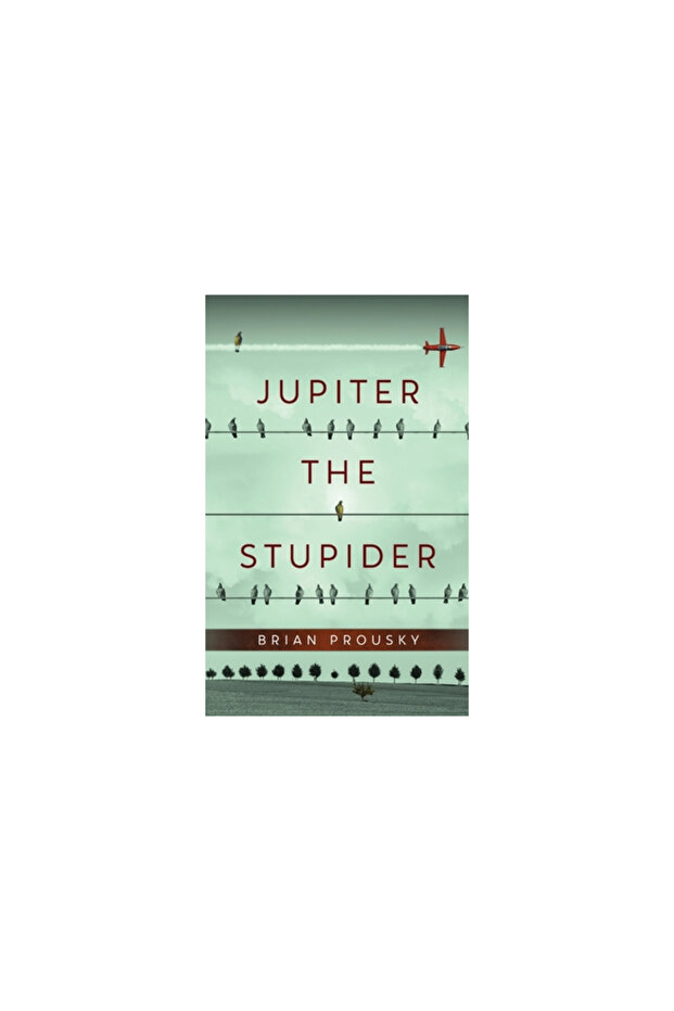 Jupiter the Stupider - 1