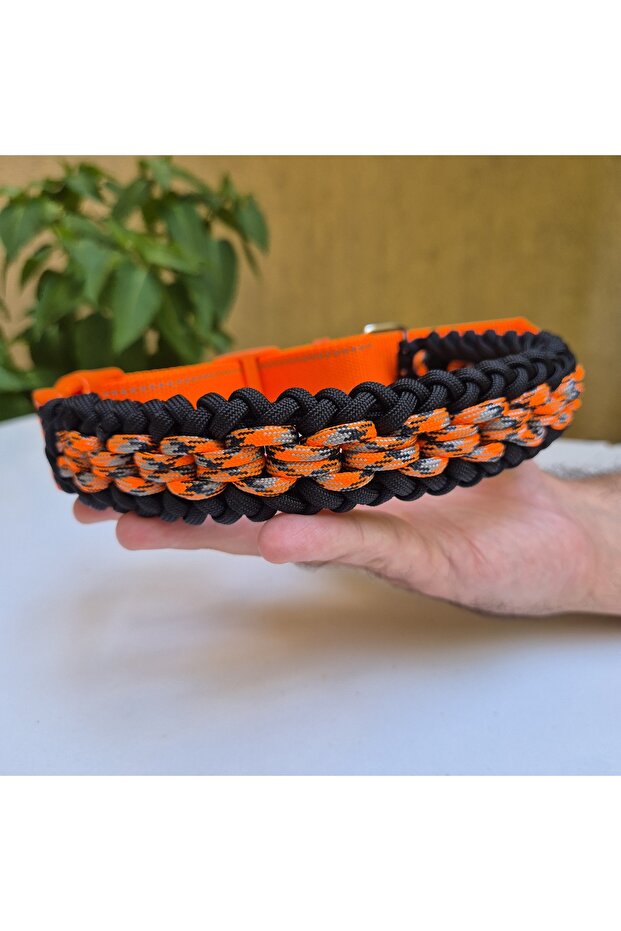 طوق لعنق الكلب - 3