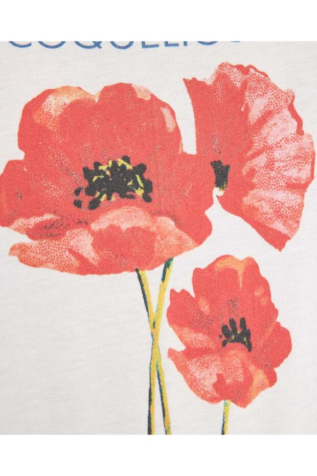 Ivory LADIES BASIC GRAPHIC TEE 8-18 - 5