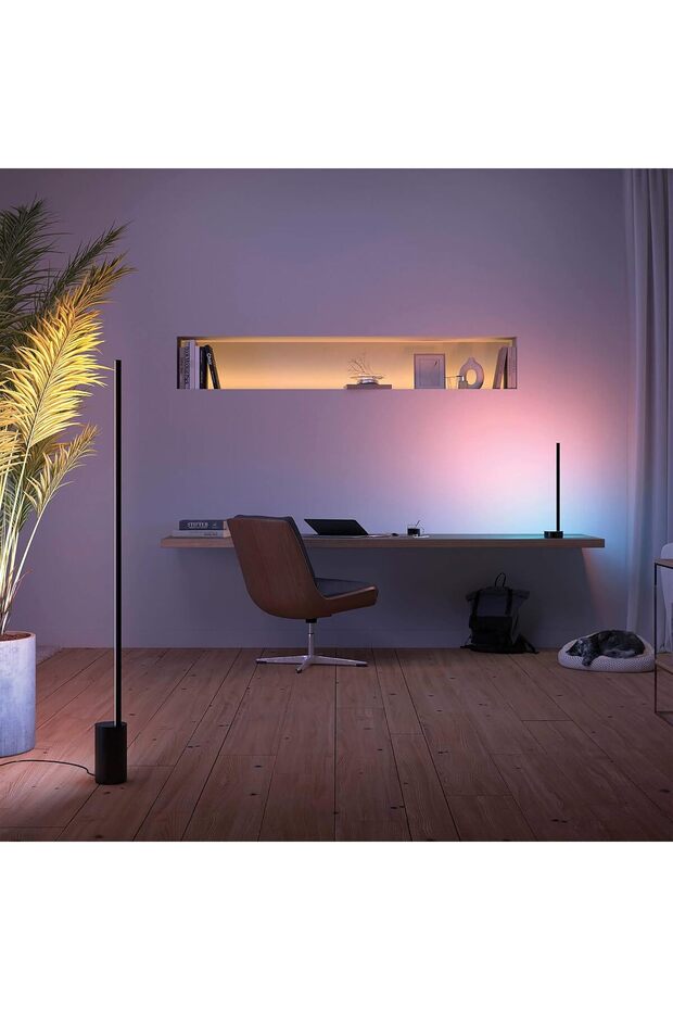 Hue Gradient Signe Akıllı Led Zemin Işığı, Lambader, Siyah - 9
