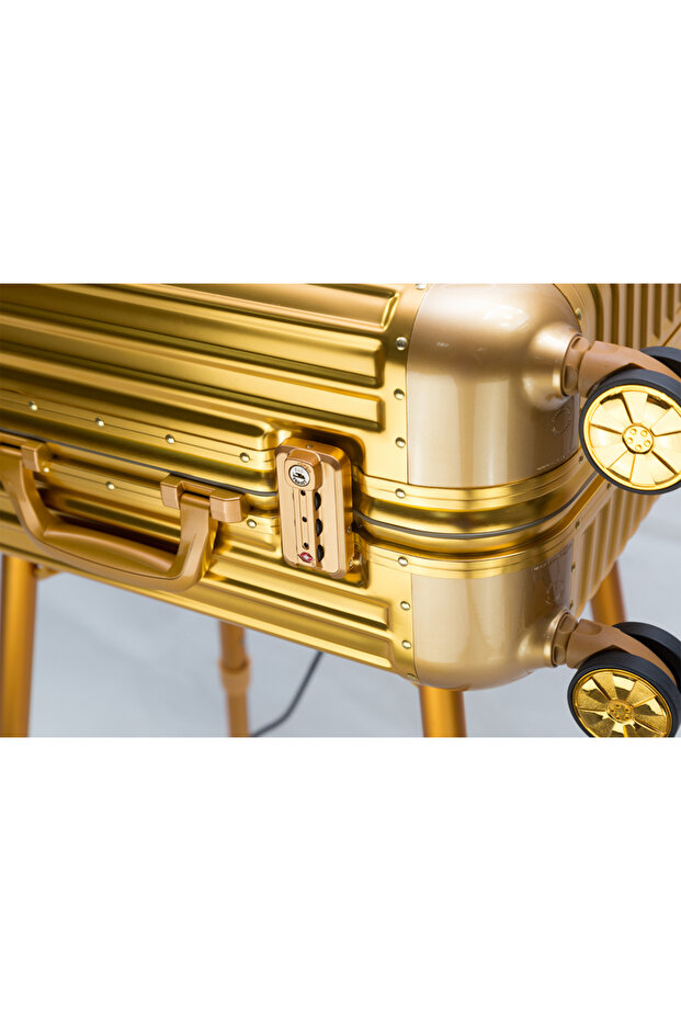 Makeup Train Stand Case With Pro Studio Artist Trolley - Gold - 3