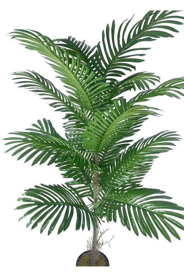 Yapay Ağaç Palmiye 16Yaprak Areka Ağacı Siyah Saksıda Tek Gövdeli 150*70Cm - 2
