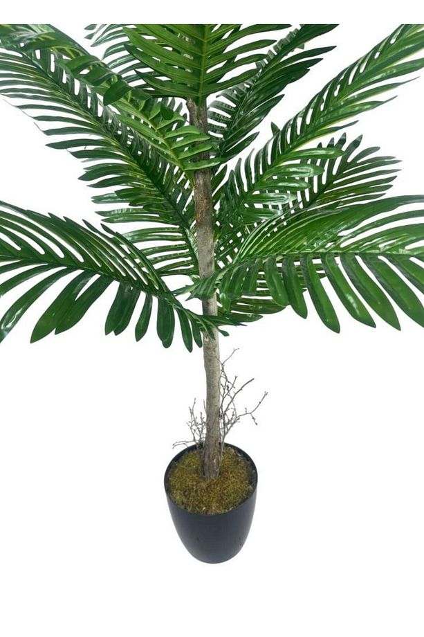 Yapay Ağaç Palmiye 16Yaprak Areka Ağacı Siyah Saksıda Tek Gövdeli 150*70Cm - 4
