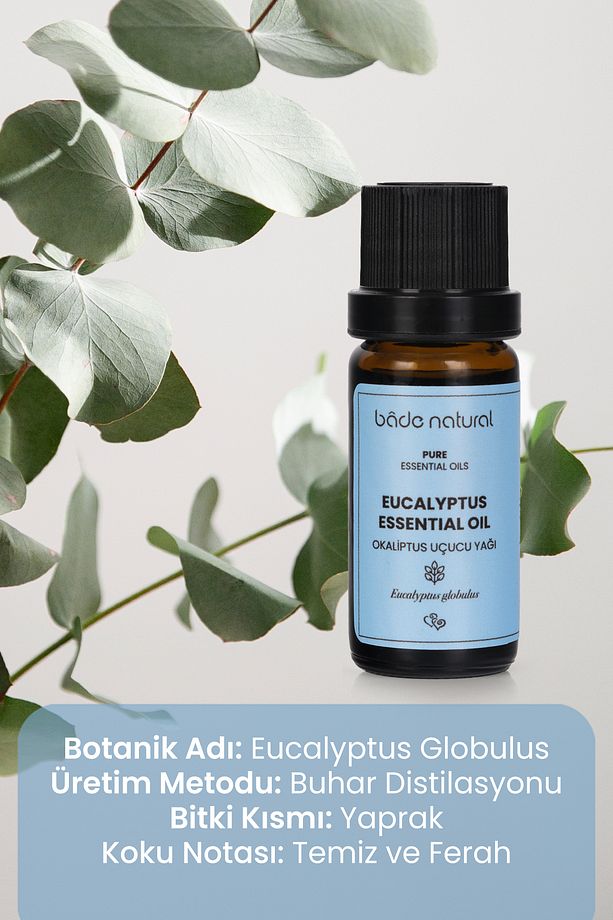 Okaliptus Uçucu Yağı %100 Saf 10 ml - 4