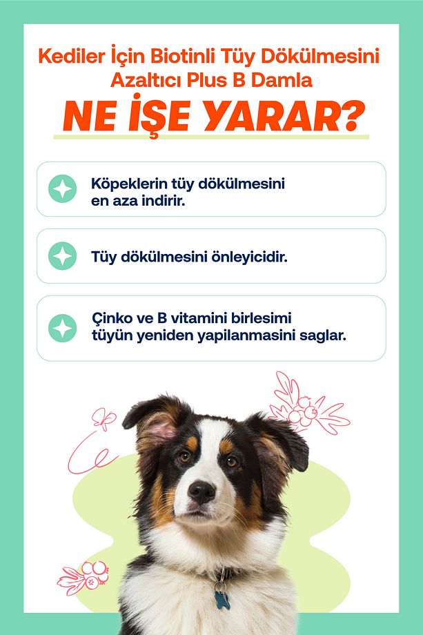 Köpekler İçin Biotin ve Çinko İçeren Tüy Dökülmesini Azaltıcı Plus+B Damla – 50ml - 7