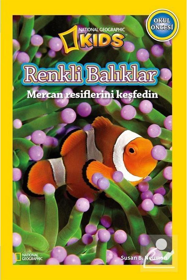 Renkli Balıklar - 1