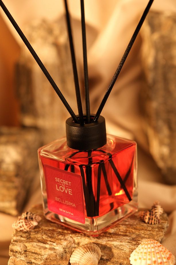 ÇUBUKLU ODA KOKUSU BELLISIMA 100ML - 3