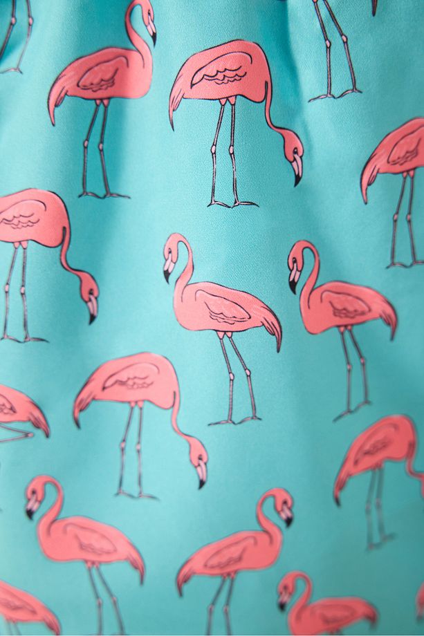 Flamingo Çok Renkli Şort - 6