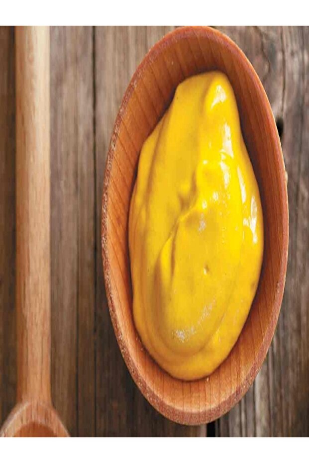 Hardal Acı 255 Gr. - 2