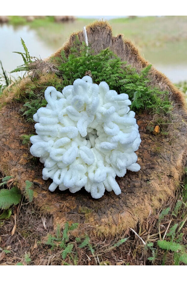 مشبك كعكة - 4