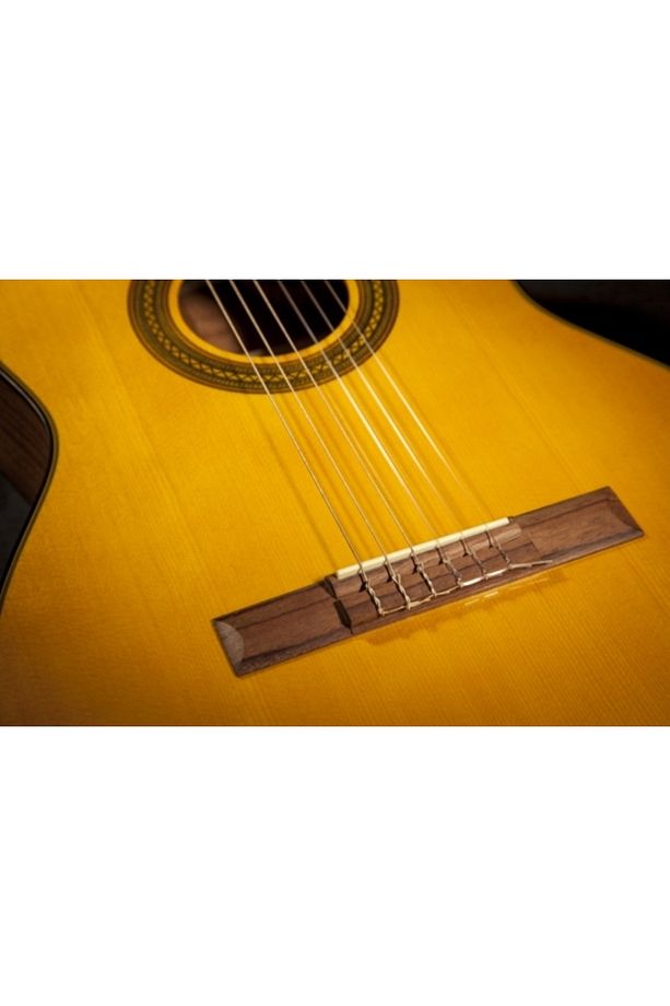 Gc1ce Nat Elektro Klasik Gitar - 3