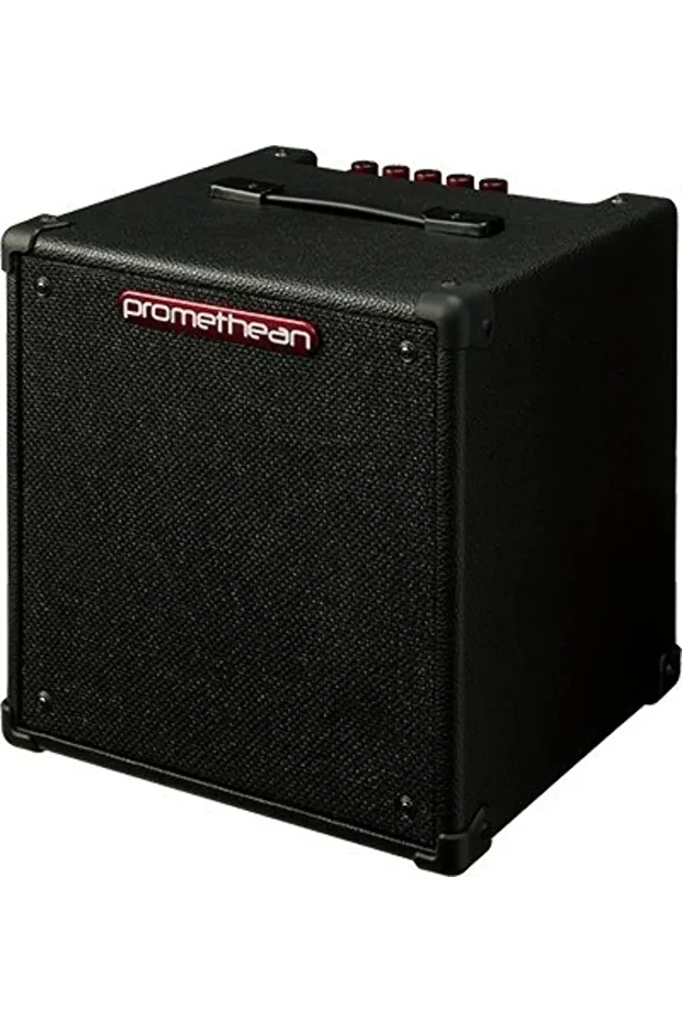 P20-u 20w Kombo Bas Gitar Amfisi - 1