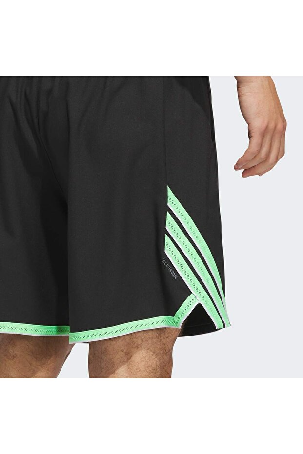 Crazy Lite Shorts - 6