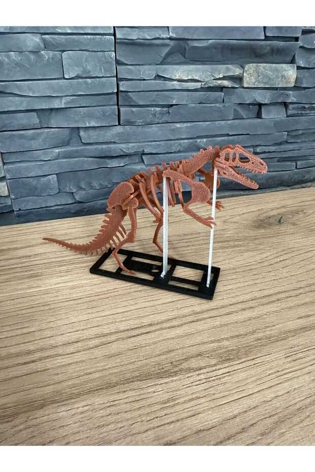 iskelet dinazor biblo - 1