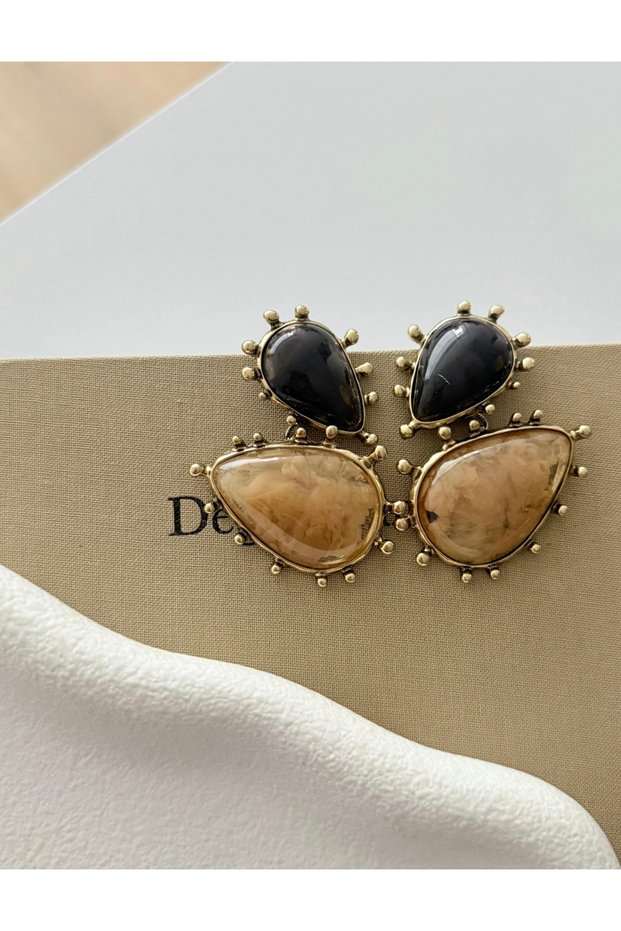 Beige and Anthracite Color Gold Color Detail Trend Earrings