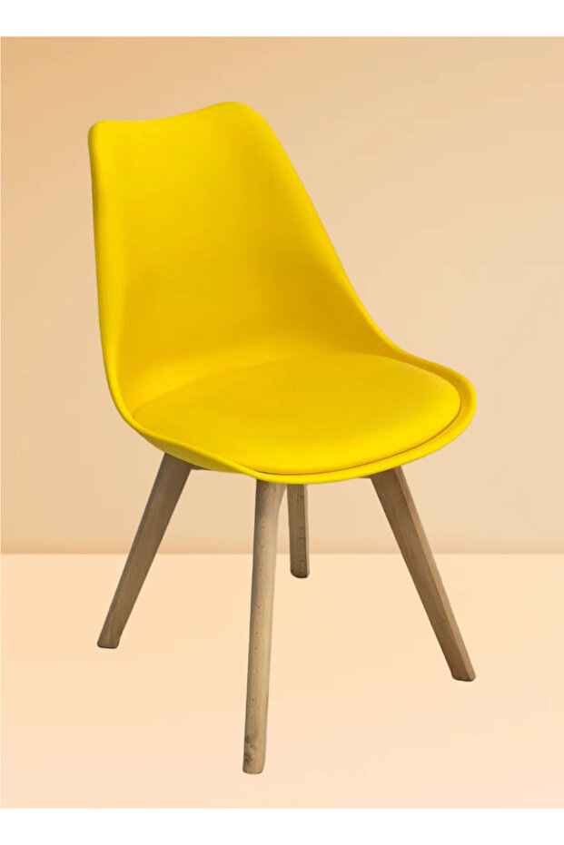 Dining Table Chair - 2