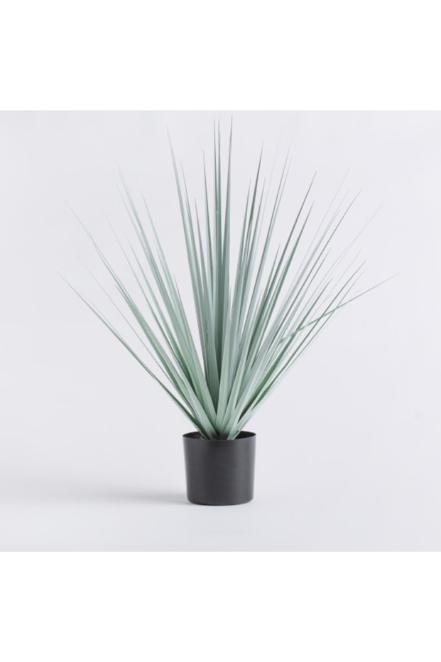 Decorative flower herba